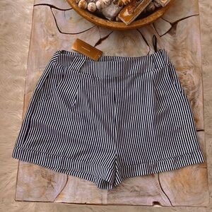 NWT ✨🩵PINSTRIPED FRANCESCA’S COLLECTIONS MIAMI SHORT.✨🩵⭐️